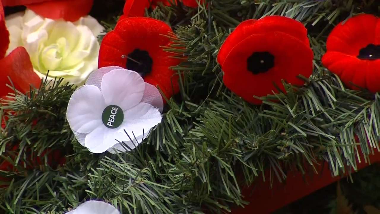 video-what-does-the-white-poppy-mean-citynews